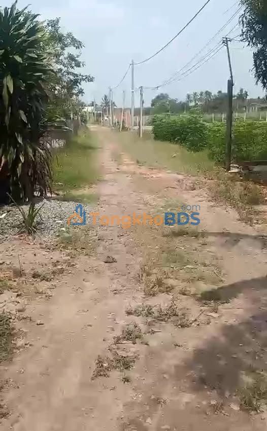 Đất nền Phước Ninh 6000m² 1.7 tỷ - Sổ đỏ chính chủ