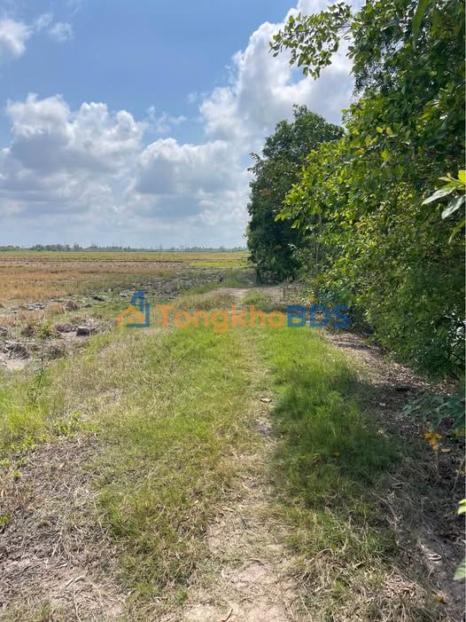 Đất nền Lý Văn Lâm 945m² 0.4-0.5 tỷ - Sổ đỏ chính chủ