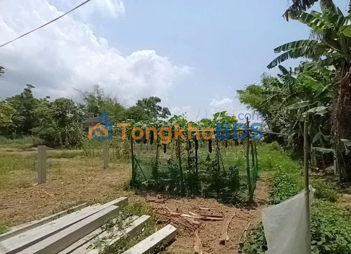 Đất nền Quế Xuân 2 Quế Sơn 450m² 690 triệu - Giá F0 CĐT