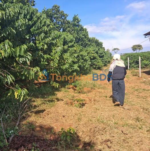 Đất Tân Hà Lâm Hà 2.160m² giá thỏa thuận - Tiềm năng tăng giá