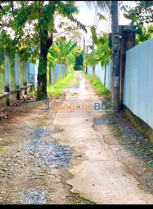 Đất vườn dừa Hữu Định 6.600m² 6.6 tỷ - Sổ đỏ chính chủ