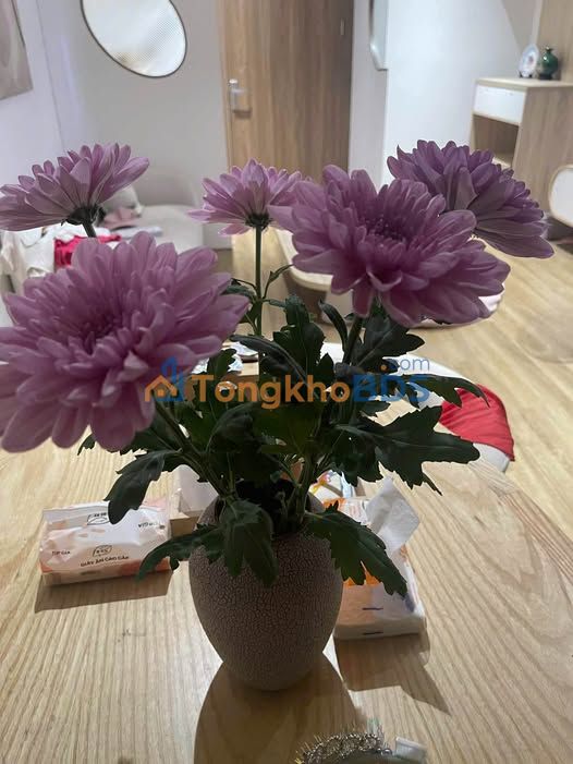 Căn hộ bán đảo Linh Đàm 70m² 3.8 tỷ - View đẹp tầng hoa hậu