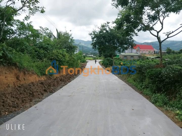 Farm Lộc Châu Bảo Lộc 1.620m² 2.6 tỷ - Sổ đỏ chính chủ