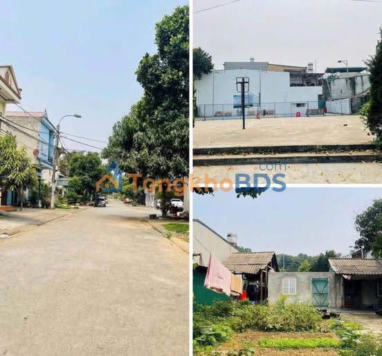 Đất nền Nguyễn Cao Luyện Lào Cai 100m² 1.6 tỷ - Đường ô tô