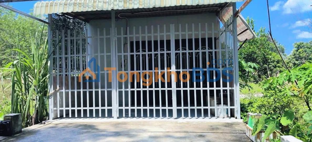 Đất Dầu Tiếng DT-749A 125m² 600 triệu - Đất thổ cư 100%