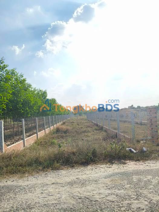 Đất nền Long Thuận Bến Cầu 175m² 280 triệu - Đất thổ cư 100%