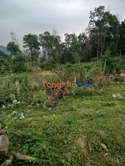 Đất nền Yên Trung 20.000m² 7.78 tỷ - Sổ đỏ chính chủ