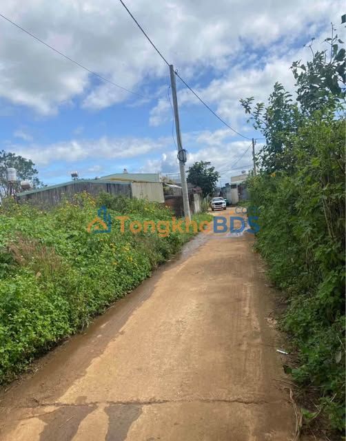 Đất nền Pleiku Hẻm 719 Trường Chinh 175m² - Đất thổ cư 100%