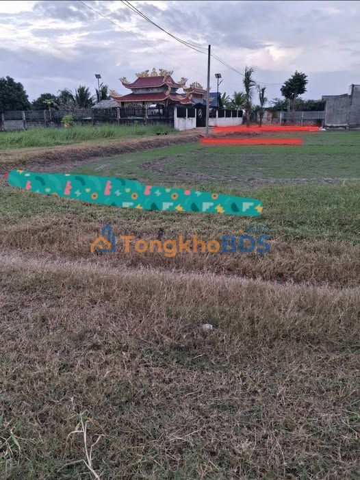 Đất nền Đức Hòa Thượng Long An 50m² 320 triệu - Pháp lý rõ ràng