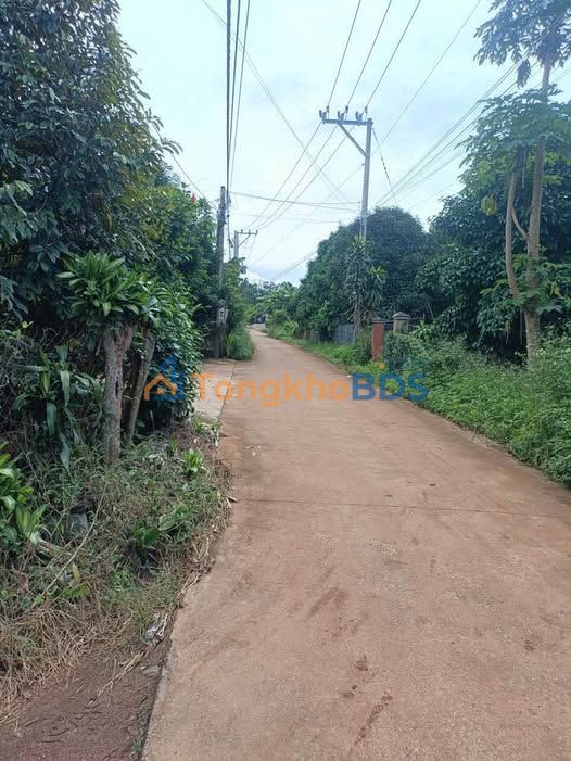 Đất vườn Bình Lộc Long Khánh 500m² 890 triệu - Sinh thái xanh