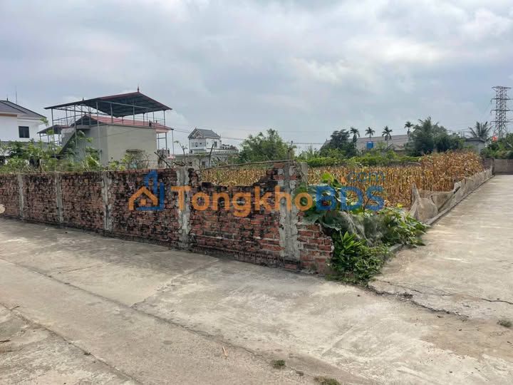 Đất nền Mỹ Lộc Thái Thụy 97m² 600-699 triệu - Đường to ô tô