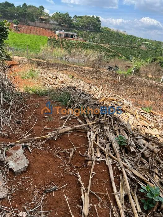 Đất nền Nam Ban Lâm Hà 1250m² giá 1.8 tỷ - Đường to ô tô