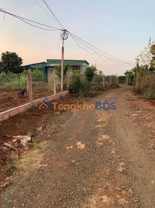 Đất vườn Hòa Khánh Ea H'Leo 1.500m² giá 899 triệu - Đường to ô tô