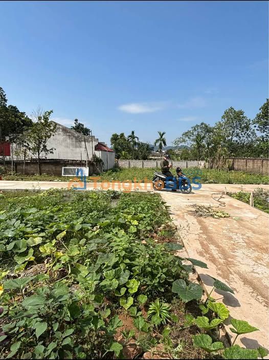 Đất nền Phù Vân Phủ Lý 79m² 1.1 tỷ - Đường ô tô