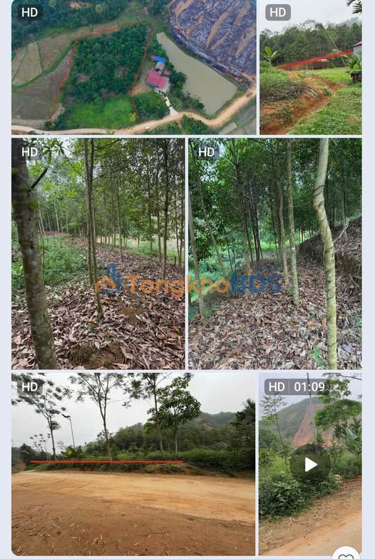 Đất nền Tân Dương Định Hóa 6000m² 1.2 tỷ - Sổ đỏ chính chủ