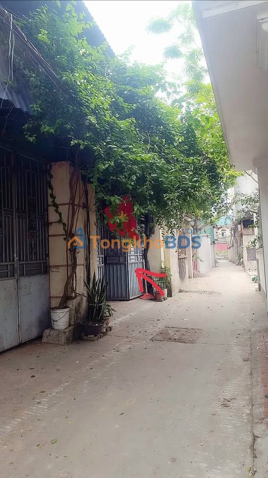 Nhà cấp 4 Phù Khê Từ Sơn 128m² 4 tỷ - Ô tô trước nhà