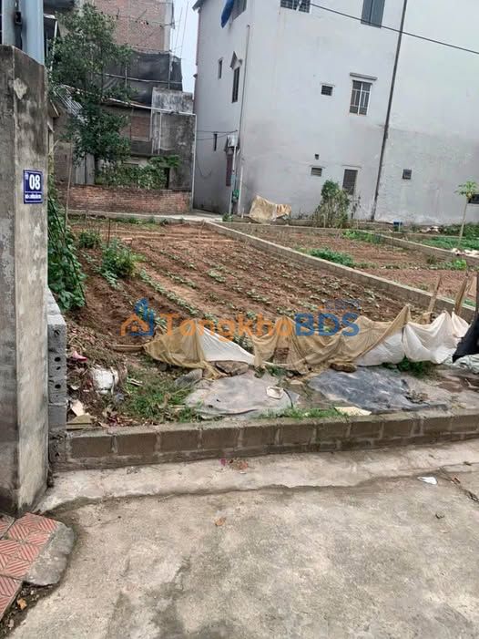 Đất nền Quất Động Thường Tín 98m² 5.88 tỷ - Sổ đỏ chính chủ