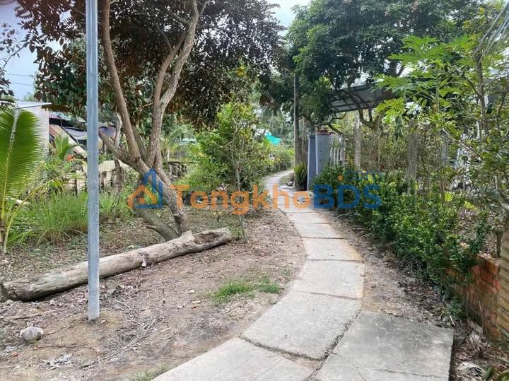 Đất nền Vĩnh Long Phường 5 200m² 235 triệu - Sổ đỏ chính chủ