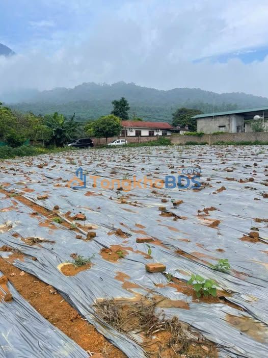 Đất nền Vân Hòa Ba Vì 1343m² thỏa thuận - Tiềm năng tăng giá