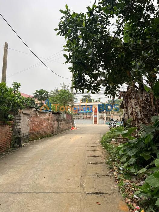 Đất Thôn Bài Ba Vì 275m² - Chính chủ bán