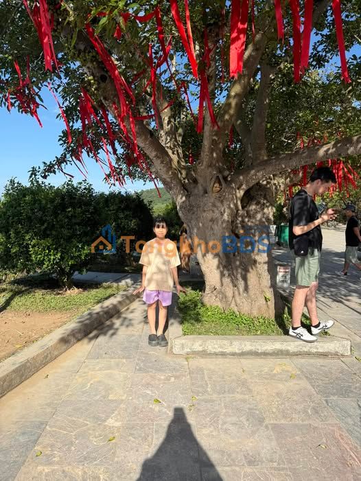 Đất nền Tam Anh Bắc 388m² 1.05 tỷ - Đường to ô tô