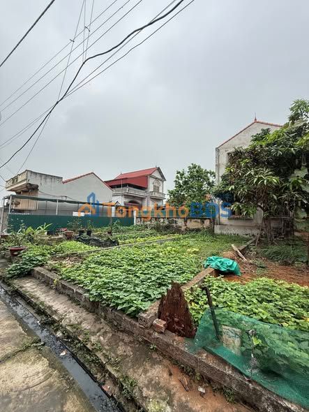 Đất nền Phúc Tiến Phú Xuyên 50m² 2.45 tỷ - Giá tốt hiếm có