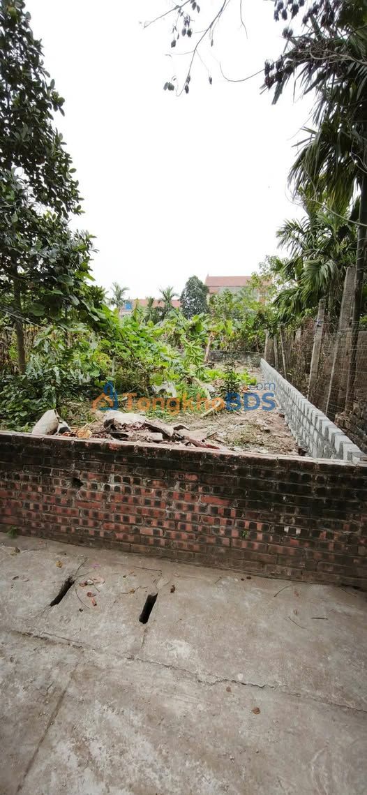 Đất Hồng Thái Phú Xuyên 82m² giá 2,45 tỷ - Sổ đỏ chính chủ