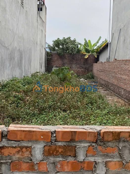 Đất nền Thanh Trù Vĩnh Yên 137m² 1.3 tỷ - Đường to ô tô