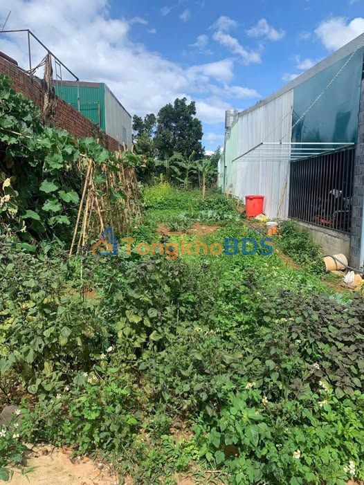 Đất nền Lộc Thắng 192m² 1.15 tỷ - Sổ đỏ chính chủ