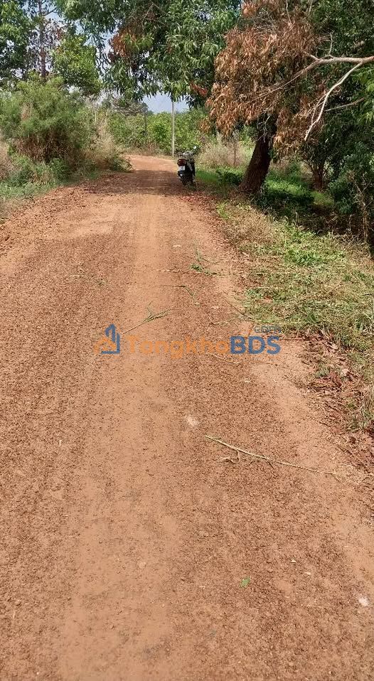 Đất nền Bình Minh Tây Ninh 1.146m² 676tr - Tiềm năng tăng giá