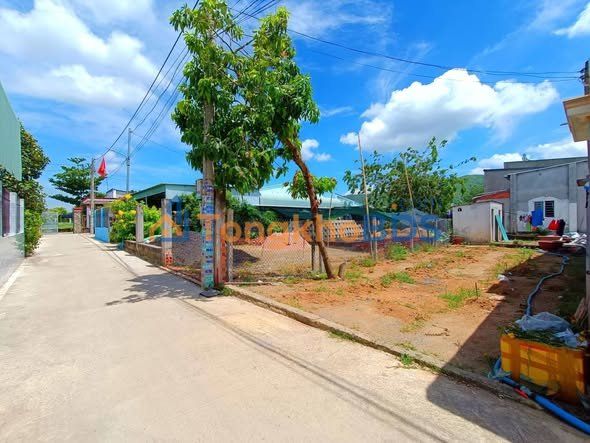 Đất Kim Dinh Bà Rịa 101m² 1.65 tỷ - Đầu tư dài hạn