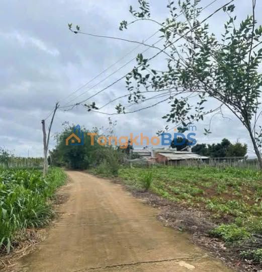 Đất nền Phú Hội Đức Trọng 160m² 750 triệu - Sổ đỏ chính chủ