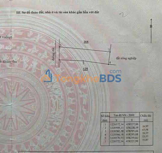 Đất nền Hàm Chính Phan Thiết 1065m² 500 triệu - Đường ôtô