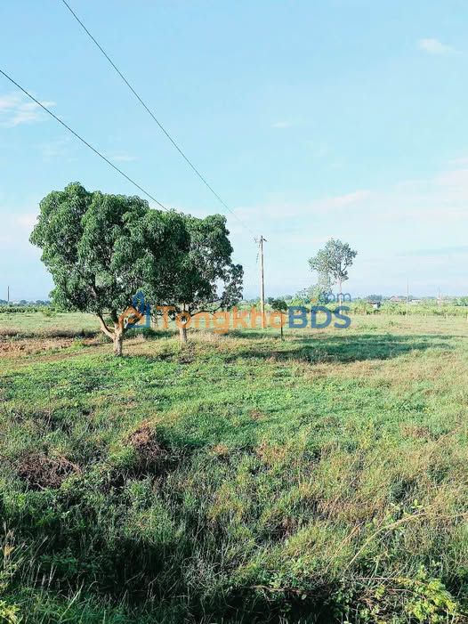 Đất vườn Hàm Hiệp Bình Thuận 540m² giá 1 tỷ - Nghỉ dưỡng lý tưởng