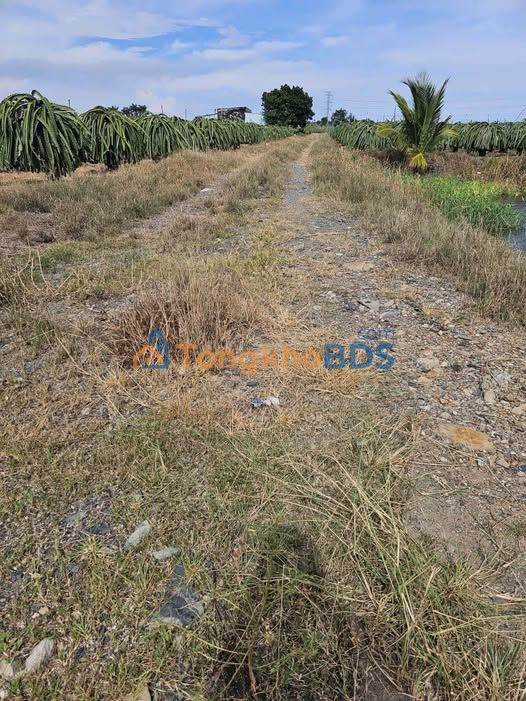 Đất nền Hàm Kiệm 2.520m² giá 672 triệu - Hạ tầng hoàn thiện