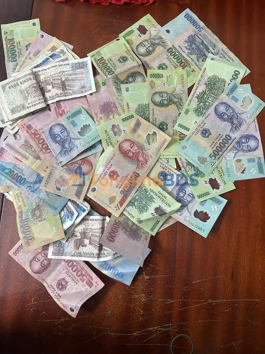 FrontHouse Trần Hưng Đạo Quy Nhơn 100m² - Ô tô vào tận nhà