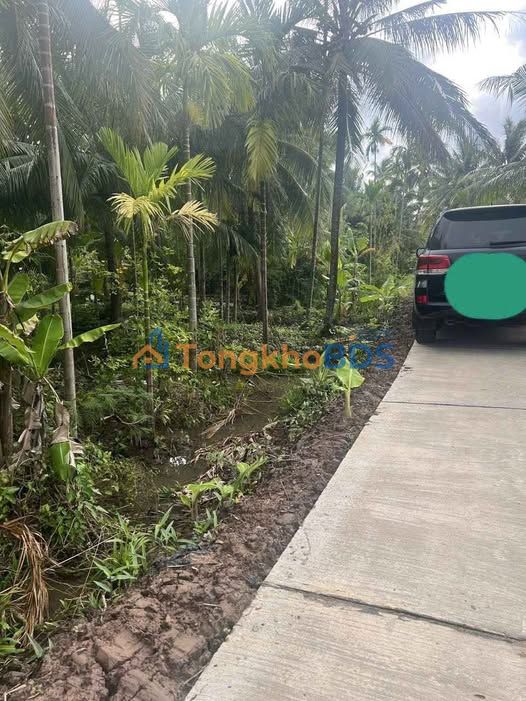 Đất nền Long Đức Long Phú Sóc Trăng 7000m² 2,35 tỷ - Sổ đỏ chính chủ