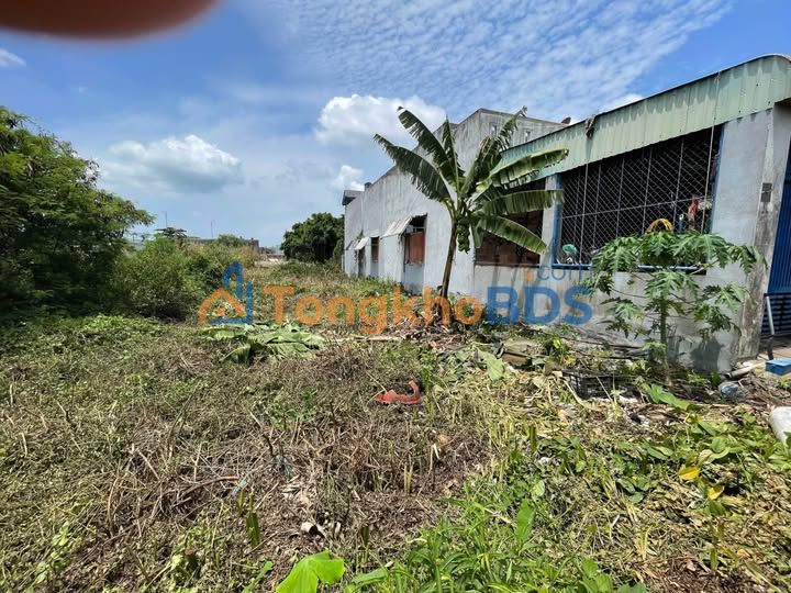 Đất nền Phường 12 Vũng Tàu 408,5m² 4,95 tỷ - Đầu tư dài hạn