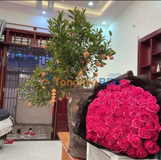 Nhà cấp 4 Bình Giã Vũng Tàu 80m² giá 3.5 tỷ - Sẵn sàng vào ở