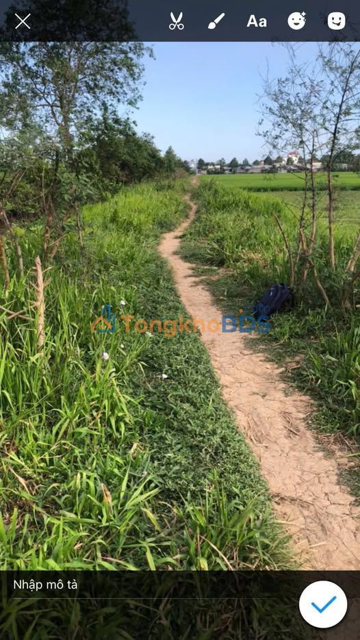 Đất Tôn Đức Thắng Sóc Trăng 1000m² 370 triệu - Sổ đỏ chính chủ