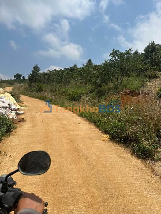 Đất nền Lộc Bảo Bảo Lâm 1.07ha 10.422 tỷ - Đường ô tô