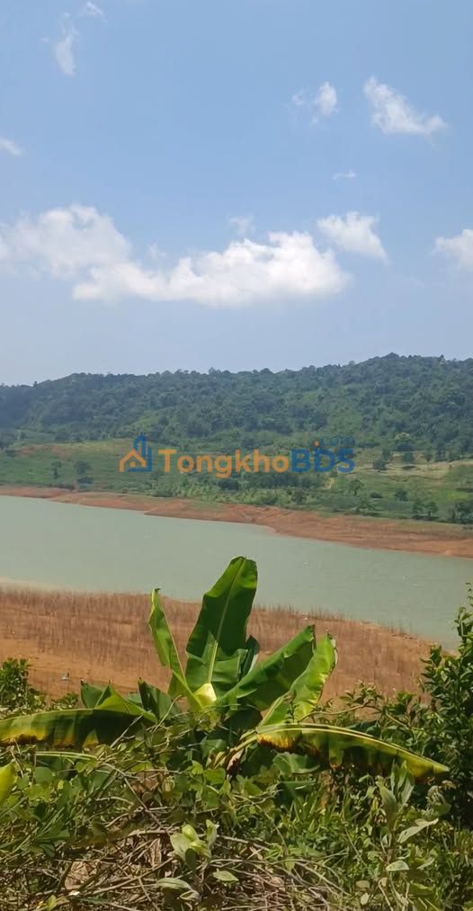 Đất vườn Hồ Ngọc P.2 Bảo Lộc 82.880m² - Sổ đỏ chính chủ