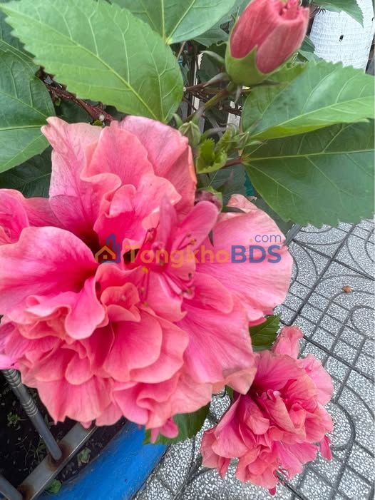 Warehouse Thuận An 400m² giá thỏa thuận - Hoạt động ngay