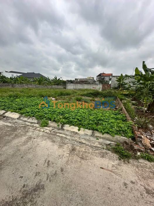 Đất nền Thôn 2 Kỳ Sơn 77m² 300 triệu - Sổ đỏ chính chủ