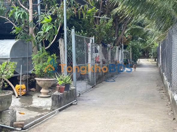 Đất Cam Tân Cam Lâm 155m² 8xx triệu - Hạ tầng hoàn thiện