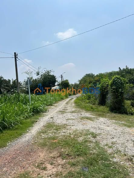 Đất nền Phước Hiệp Củ Chi 186m² 1,4 tỷ - Sổ đỏ chính chủ