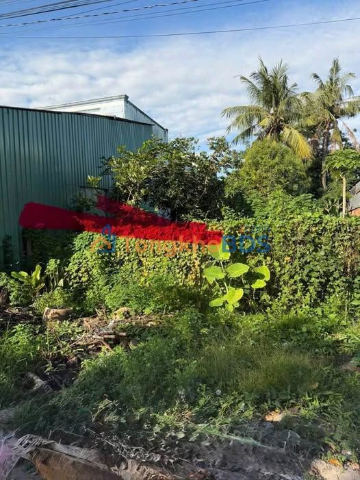 Đất hẻm 60 Nguyễn Chí Thanh, Hòa Thành 145m² 198tr/m² - Sổ đỏ chính chủ