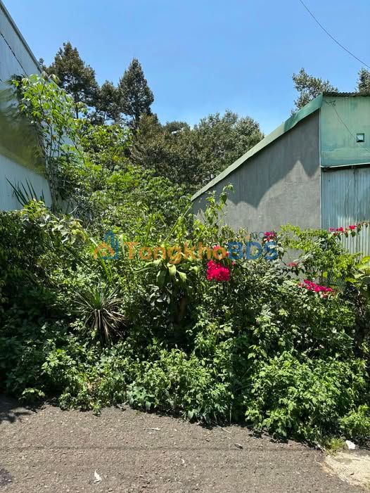 Đất nền Phường 2 Bảo Lộc 124m² giá tốt - Sổ đỏ chính chủ