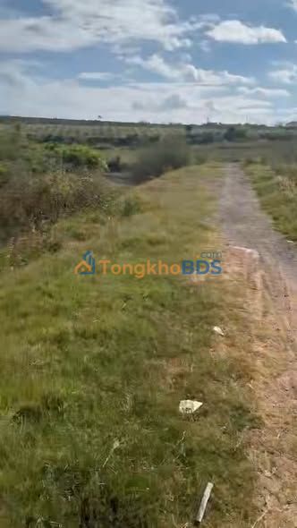 Đất vườn Phúc Tân Tân Hà 1.440m² 1,6 tỷ - Pháp lý rõ ràng