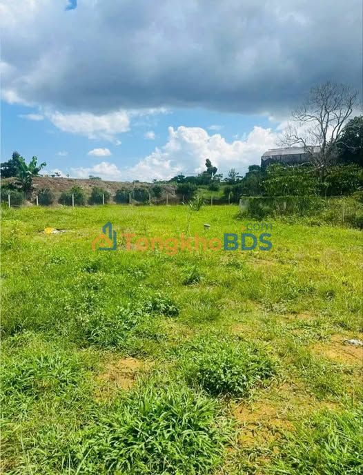 Đất nền Bảo Lộc 1000m²/4.5 tỷ - Sổ đỏ chính chủ